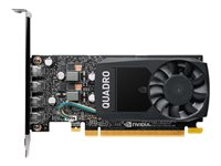 NVIDIA Quadro P620 - Carte graphique - Quadro P620 - 2 Go GDDR5 - PCIe 3.0 x16 profil bas - 4 x Mini DisplayPort - Adaptateurs inclus VCQP620V2-PB