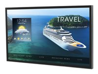 Peerless-AV Xtreme High Bright XHB552 - Classe de diagonale 55" (54.63" visualisable) écran LCD rétro-éclairé par LED - avec tuner TV - signalisation numérique / hospitalité extérieur - 1080p 1920 x 1080 - noir XHB552-EUK