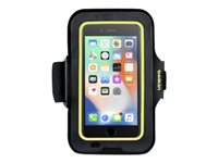 Belkin Sport-Fit Armband - Brassard pour téléphone portable - Partie supérieure noire - pour Apple iPhone 6 Plus, 6s Plus, 7 Plus, 8 Plus F8W842BTC00