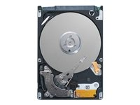 Dell Customer Kit - Disque dur - 10 To - échangeable à chaud - 3.5" - SAS 12Gb/s - NL - 7200 tours/min - pour PowerEdge R320, R420, R520, T320, T420, T620, VRTX; PowerVault MD1400, MD3400, MD3800 400-ANVE