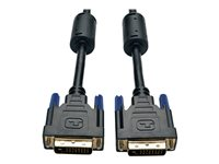 Tripp Lite 100ft DVI Dual Link Digital TMDS Monitor Cable DVI-D M/M 100' - Câble DVI - liaison double - DVI-D (M) pour DVI-D (M) - 30.5 m - moulé P560-100