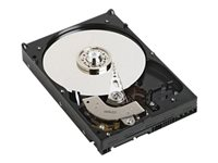 Dell - Disque dur - 6 To - 3.5" - SATA 6Gb/s - 7200 tours/min - pour PowerEdge T630; PowerEdge R230, R330, R730, R730xd 400-AKZH