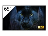 Sony Bravia Professional Displays FWD-65A8/T - Classe de diagonale 65" (64.5" visualisable) - A8 Series affichage OLED - avec tuner TV - signalisation numérique - Android TV - 4K UHD (2160p) 3840 x 2160 - HDR - noir FWD-65A8/T