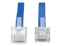 Tripp Lite Cisco Console Replacement Rollover Cable RJ45 32AWG M/M 6' 6ft - Câble réseau - RJ-45 (M) pour RJ-45 (M) - 1.83 m - bleu N205-006-BL-FCR