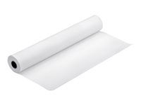 Epson - Brillant - Rouleau (111,8 cm x 30,5 m) - 250 g/m² - 1 rouleau(x) papier photo - pour Stylus Pro 11880, Pro 98XX; SureColor SC-P10000, P20000, P8000, P9000, P9500, T7000, T7200 C13S041895