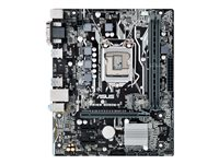 ASUS PRIME B250M-K - Carte-mère - micro ATX - Socket LGA1151 - B250 - USB 3.0 - Gigabit LAN - carte graphique embarquée (unité centrale requise) - audio HD (8 canaux) 90MB0T10-M0EAY0