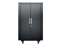 APC NetShelter CX AR4024IX431 - Rack avec unité de distribution secteur - gris foncé - 24U - 19" AR4024IX431