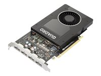 NVIDIA Quadro P2200 - Carte graphique - Quadro P2200 - 5 Go GDDR5X - PCIe 3.0 x16 - 4 x DisplayPort - OEM - pour ThinkStation P330 (2nd Gen) 30CY (400 Watt), 30D0 (400 Watt), 30D3 (400 Watt); P520 30BE, 30BF, 30BQ; P520c 30BX, 30BY, 30C0; P720 30BA, 30BB, 30BU; P920 30BC, 30BD, 30BV 4X60W87106