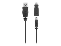 Belkin - Kit câble USB AV10109BT1.8M