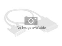 Fujitsu - Câble externe SAS - 4 SAS mini multivoies blindés 26 broches (SFF-8088) pour 4 mini multivoies blindés 36 broches - 3 m FTS:SAS-MINIHD3M-L