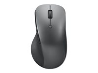 Lenovo Professional - Souris - ergonomique - bleu optique - 6 boutons - sans fil - Bluetooth 5.1 - gris orage - pour K14 Gen 1; ThinkCentre M70s Gen 3; M75t Gen 2; ThinkPad E14 Gen 3; P15v Gen 3 4Y51J62544